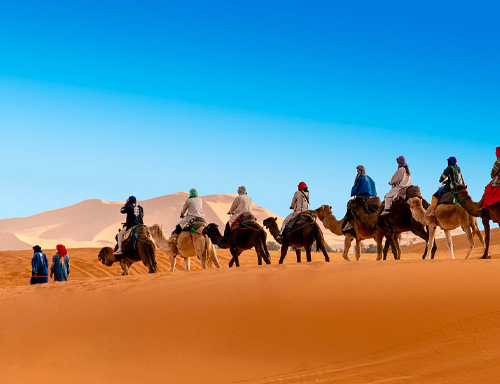 riding camels in morocco desert